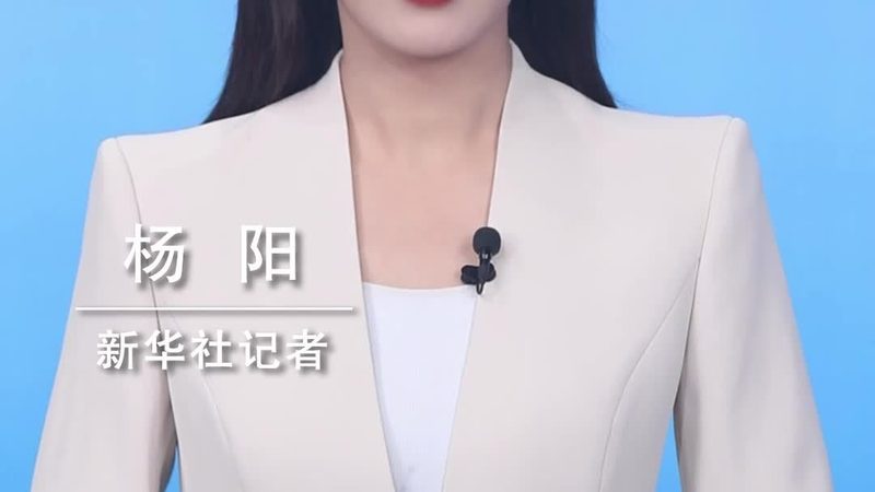 数据服务报价单：揭秘企业数据服务采购的关键要素
